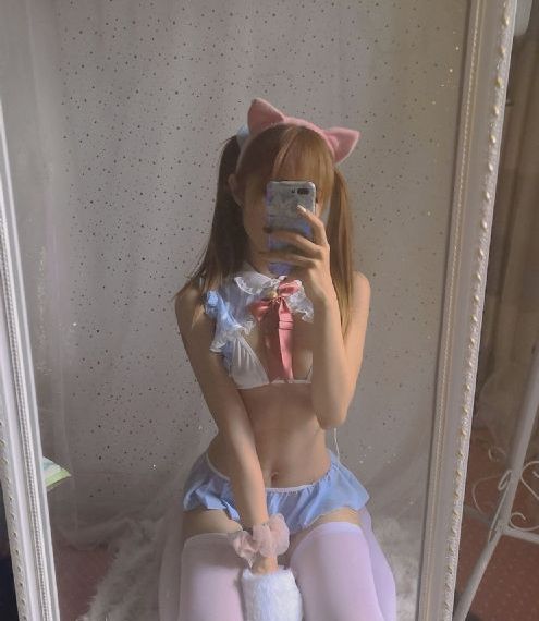 棕榈树丛