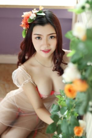 小巷人家电视剧免费观看