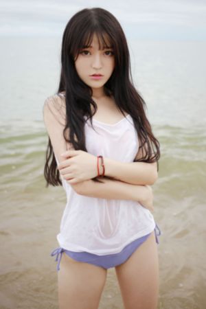 蔡李佛拳