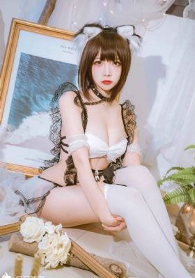 老虎出监