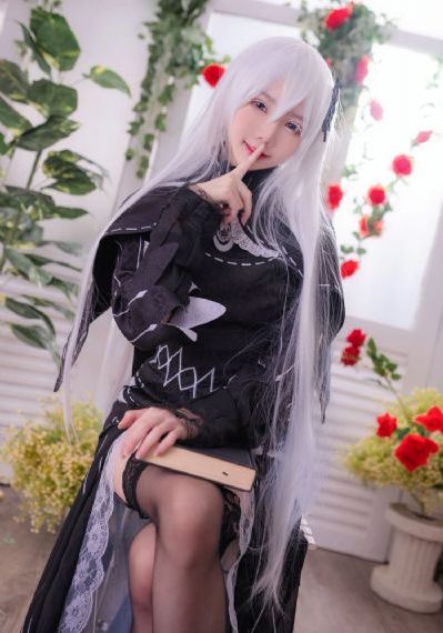 舒克贝塔第5季