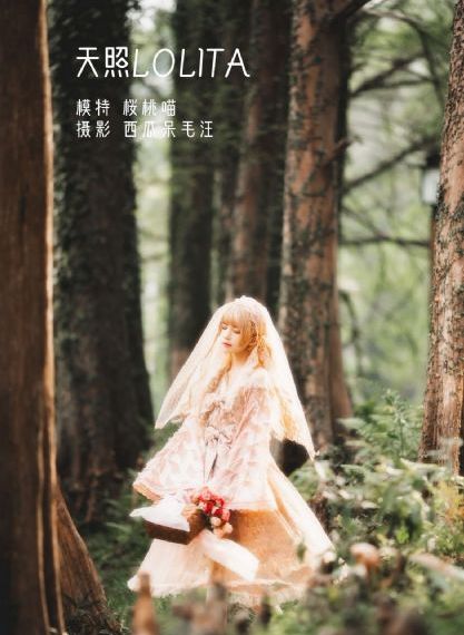 她是他