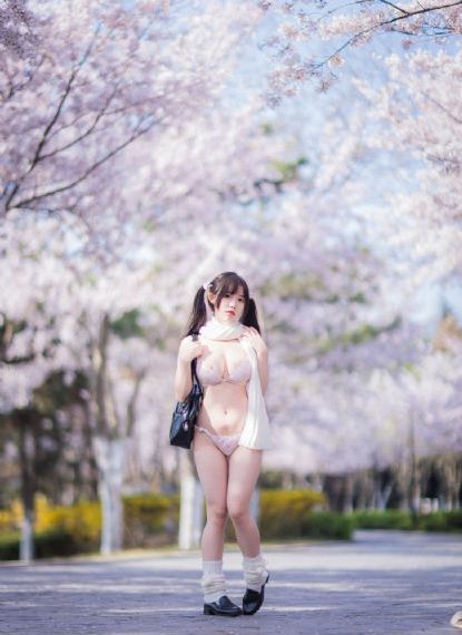 1—40集电视剧免费