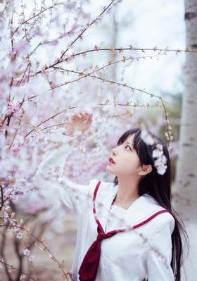 山有木兮木有心